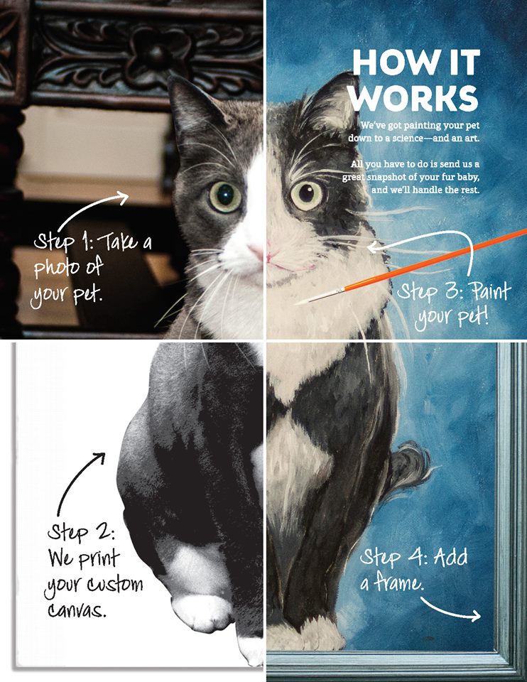 Project Pet